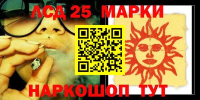 гидра Заводоуковск