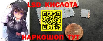 гидра Заводоуковск