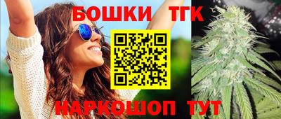 гидра Заводоуковск