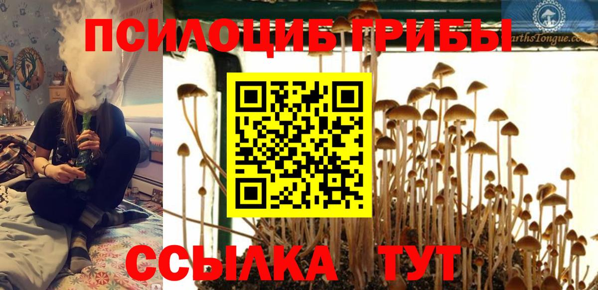 Псилоцибиновые грибы мухоморы Люберцы
